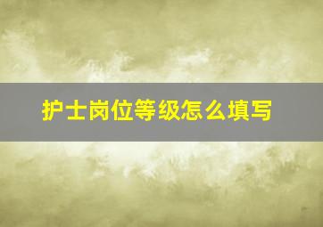 护士岗位等级怎么填写