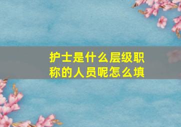 护士是什么层级职称的人员呢怎么填