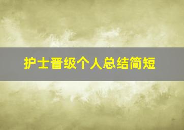 护士晋级个人总结简短