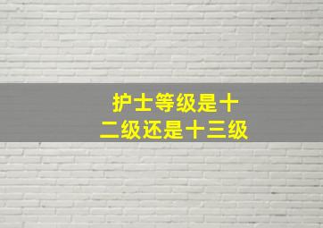 护士等级是十二级还是十三级