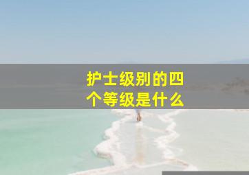 护士级别的四个等级是什么