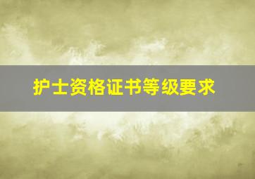 护士资格证书等级要求