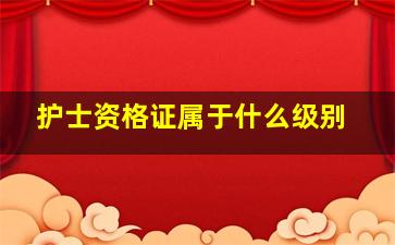 护士资格证属于什么级别