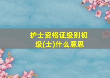 护士资格证级别初级(士)什么意思