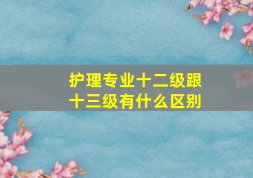 护理专业十二级跟十三级有什么区别