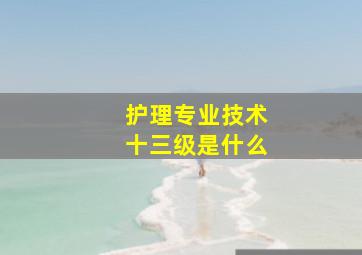 护理专业技术十三级是什么