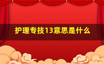 护理专技13意思是什么