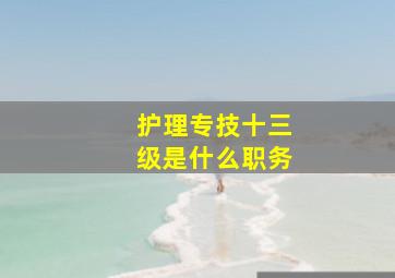 护理专技十三级是什么职务