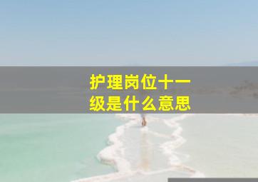 护理岗位十一级是什么意思