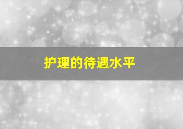 护理的待遇水平