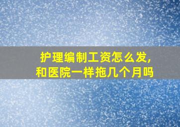 护理编制工资怎么发,和医院一样拖几个月吗