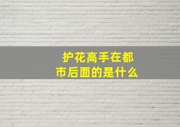 护花高手在都市后面的是什么