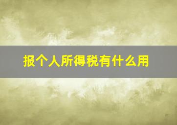 报个人所得税有什么用