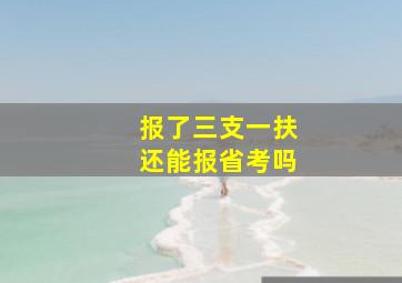 报了三支一扶还能报省考吗