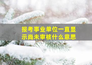 报考事业单位一直显示尚未审核什么意思