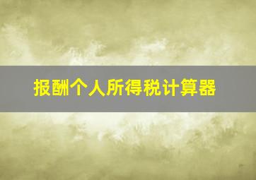 报酬个人所得税计算器