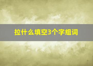 拉什么填空3个字组词