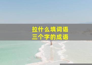 拉什么填词语三个字的成语