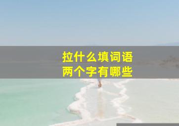 拉什么填词语两个字有哪些