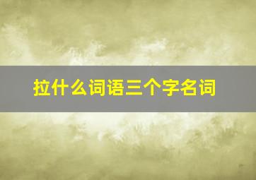 拉什么词语三个字名词