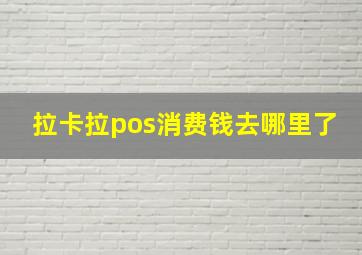 拉卡拉pos消费钱去哪里了