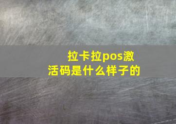 拉卡拉pos激活码是什么样子的