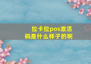 拉卡拉pos激活码是什么样子的啊