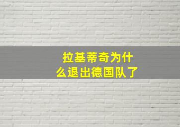 拉基蒂奇为什么退出德国队了