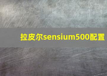 拉皮尔sensium500配置