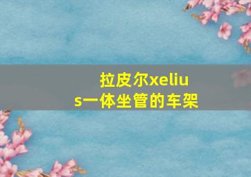 拉皮尔xelius一体坐管的车架