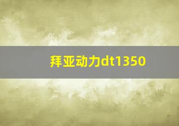 拜亚动力dt1350