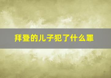 拜登的儿子犯了什么罪