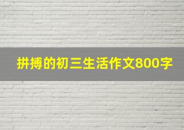 拼搏的初三生活作文800字