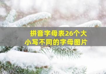 拼音字母表26个大小写不同的字母图片