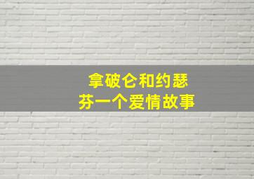 拿破仑和约瑟芬一个爱情故事