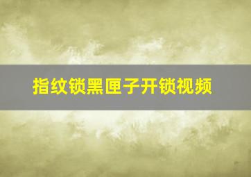 指纹锁黑匣子开锁视频