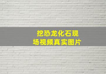 挖恐龙化石现场视频真实图片