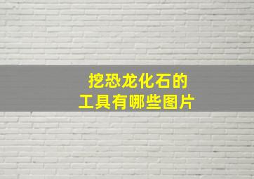 挖恐龙化石的工具有哪些图片