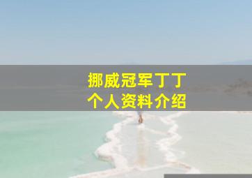 挪威冠军丁丁个人资料介绍