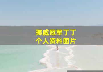 挪威冠军丁丁个人资料图片