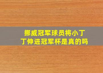 挪威冠军球员将小丁丁伸进冠军杯是真的吗