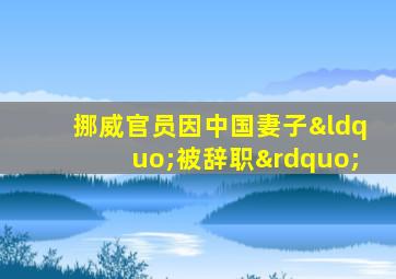 挪威官员因中国妻子“被辞职”