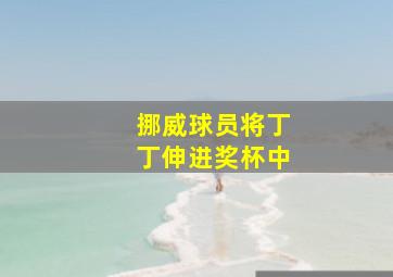 挪威球员将丁丁伸进奖杯中