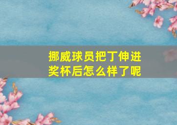 挪威球员把丁伸进奖杯后怎么样了呢