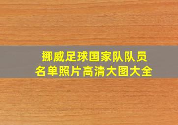 挪威足球国家队队员名单照片高清大图大全