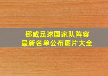 挪威足球国家队阵容最新名单公布图片大全