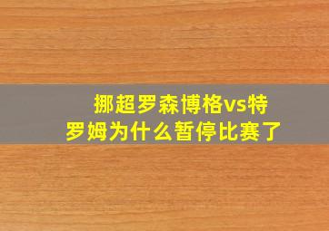 挪超罗森博格vs特罗姆为什么暂停比赛了