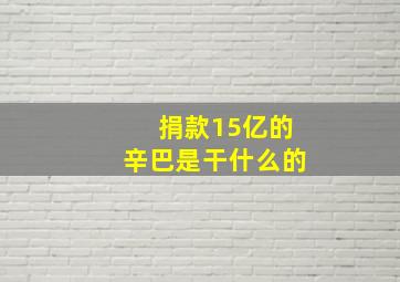 捐款15亿的辛巴是干什么的