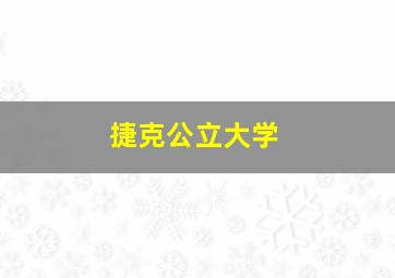 捷克公立大学