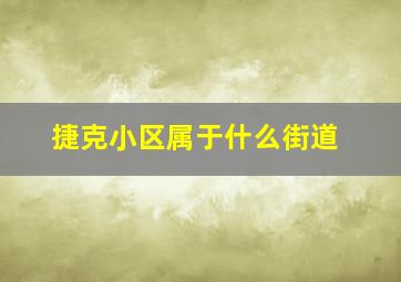 捷克小区属于什么街道